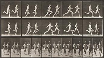 EADWEARD MUYBRIDGE (1830-1904) A selection of 4 plates from Animal Locomotion.